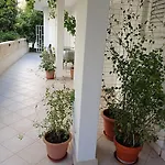 Dariana 马卡尔斯卡