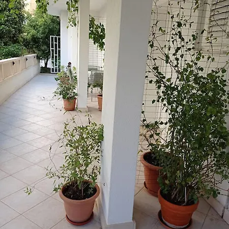 Dariana Makarska